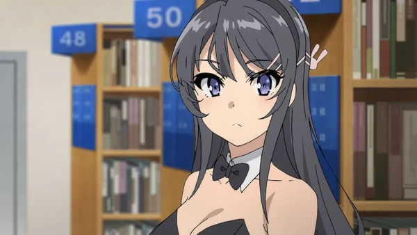 rascal does not dream of bunny girl senpai watch order